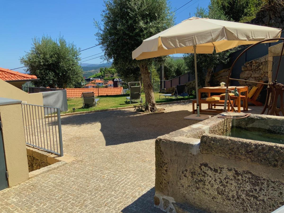 Casa Da Zefinha, Em Cinfaes, No Douro Lägenhet Exteriör bild